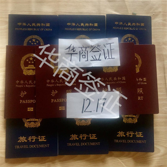補(bǔ)辦護(hù)照旅行證1217 (1).jpg