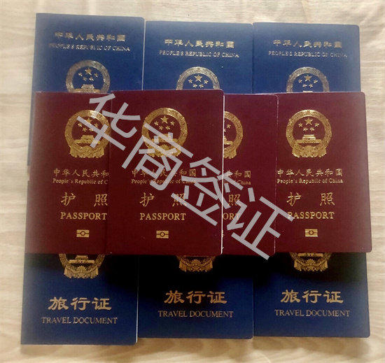 補辦護照旅行證 (2).jpg