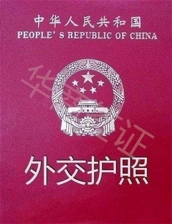 外交護照入境免簽.jpg