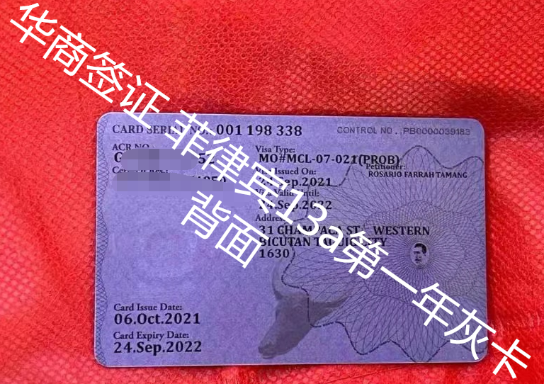 菲律賓13a第一年反面圖.png