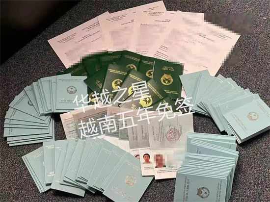 申請越南五年免簽要多少錢(五年免簽所需材料)