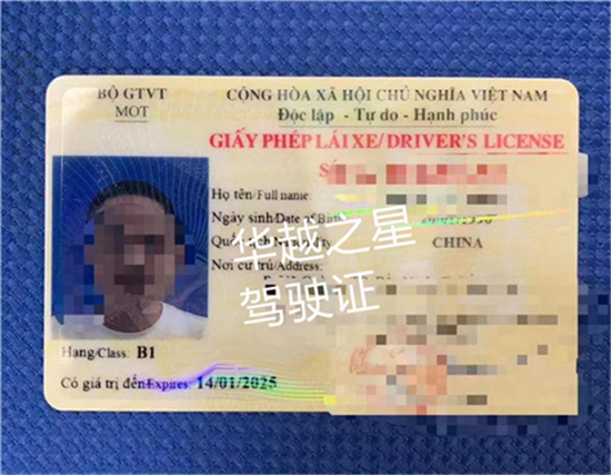 中國駕照在越南怎么換(中國駕照能在越南開車嗎)