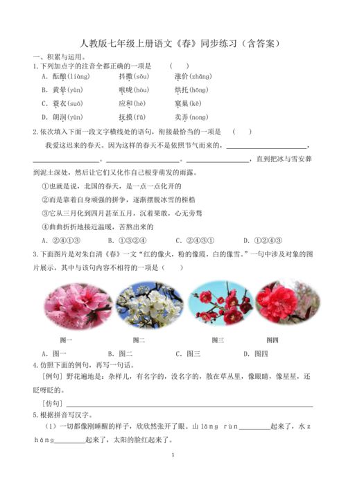 七年級(jí)上冊(cè)語(yǔ)文春,人教版七年級(jí)上冊(cè)語(yǔ)文課本中的古詩(shī)《春》的全文