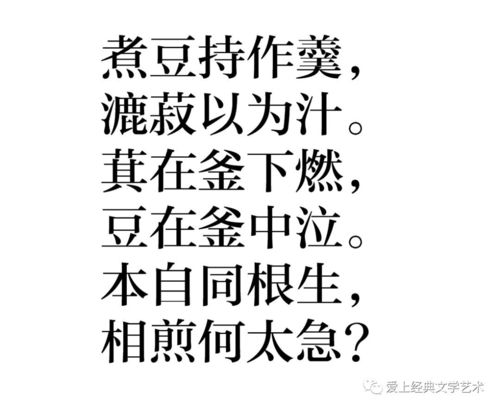七步詩的作者,七步詩的作者