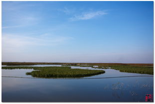 七里海國家濕地公園,天津七里海國家濕地公園開放了嗎