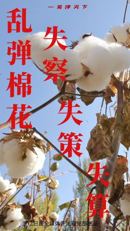 亂彈棉花,亂彈棉花怎么描述