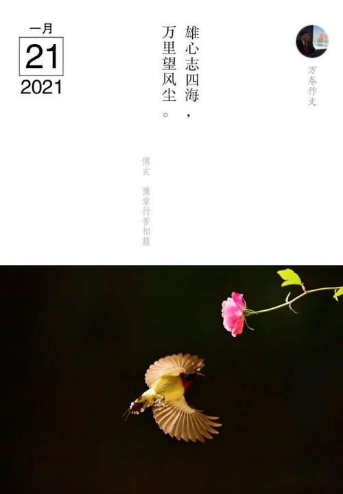 親愛的陌生人,親愛的陌生人林俊杰歌詞是什么