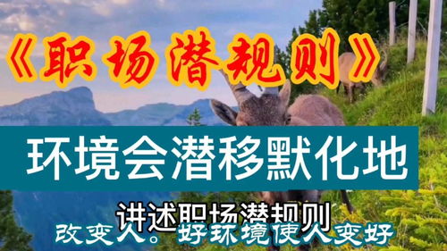 人把他的環(huán)境人化了,人把他的環(huán)境人化了這是誰(shuí)的論斷
