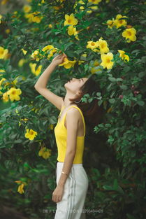 人比黃花瘦,人比黃花瘦全詩