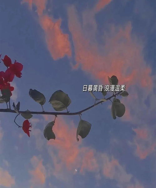 人的高貴在于靈魂,概括《人的高貴在于靈魂》事實論據