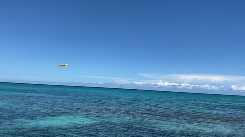 你喜歡大海,你喜歡大海嗎為什么