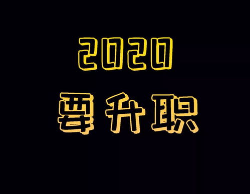 你好2020,2020春晚中，《你好，2020》這首歌的歌詞是什么？