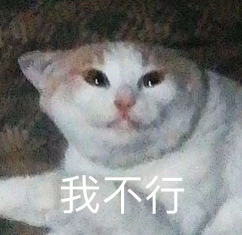 你好厲害啊,你好厲害啊！英語怎么說？