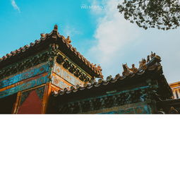 你好呀故宮,求《你好呀！故宮（24講）》百度云資源下載