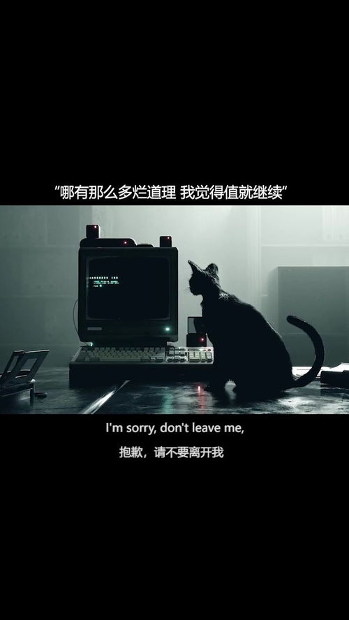你是我的唯一用英語怎么說,你是我的唯一用英語怎么說