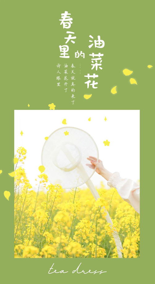 你是我的春天,電影你是我的春天簡介