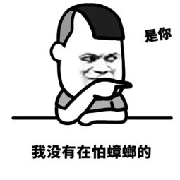 你沒有他有天沒有地有打一個字,你沒有他有天沒有地有打一字謎底是什么