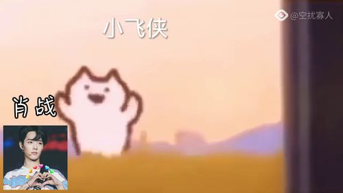 你的腳步,你的腳步流浪在天涯是哪首歌的歌詞