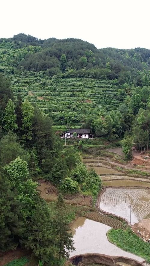 你眼中的鄉(xiāng)村景致是怎樣的用一段話寫下來,我眼里的鄉(xiāng)村景致是怎樣的寫一段話