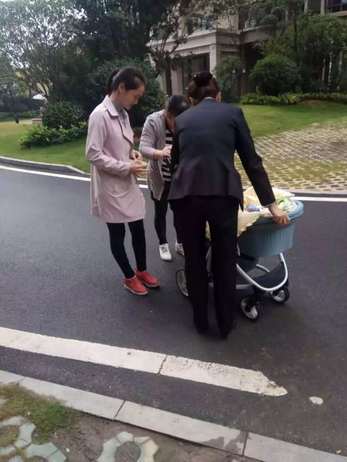 你見或者不見我我就在那里不悲不喜,“你見或不見，我就在這里不悲不喜”的全文是什么？