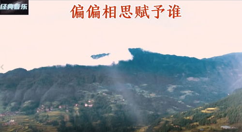 偏偏懷念,從不敢計較…你在的時間是什么歌的歌詞
