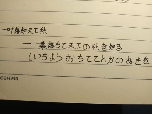 偶爾的近義詞,偶爾的近義詞。