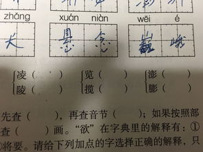 偶的組詞,偶怎么組詞