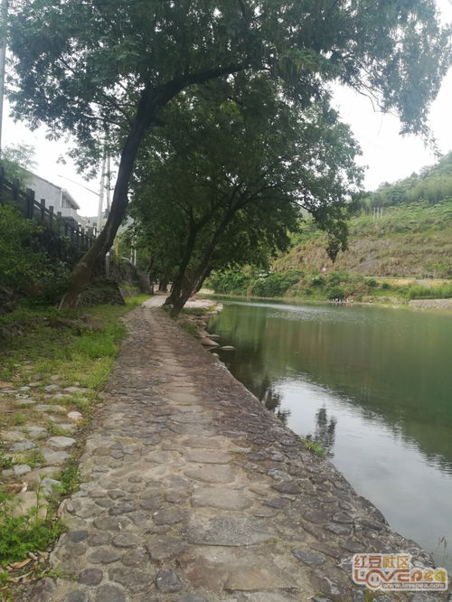 僻靜的近義詞,僻靜的近義詞