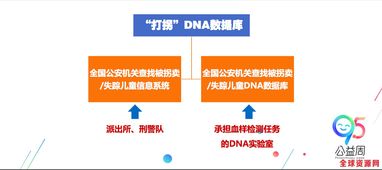 全國警員信息庫,8大公安信息資源庫是什么