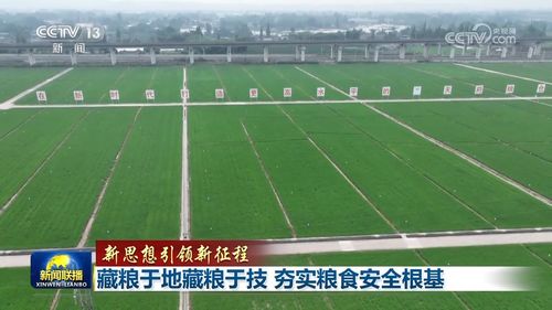 全方位夯實糧食安全根基牢牢守住,全方位夯實糧食安全根基牢牢守住什么畝耕地紅線