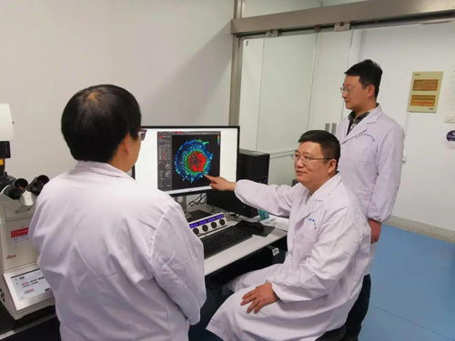 全球首次發現人感染h5n8型禽流感,俄羅斯禽流感最新有多少人感染