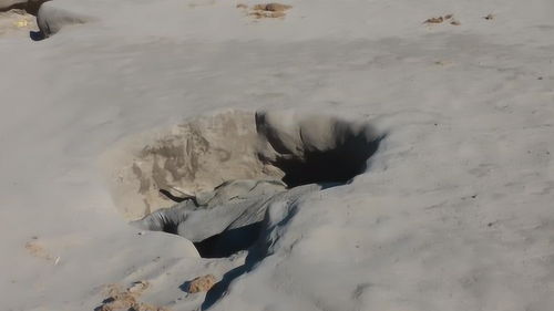 龐然大物的然,龐然大物的然是什么意思