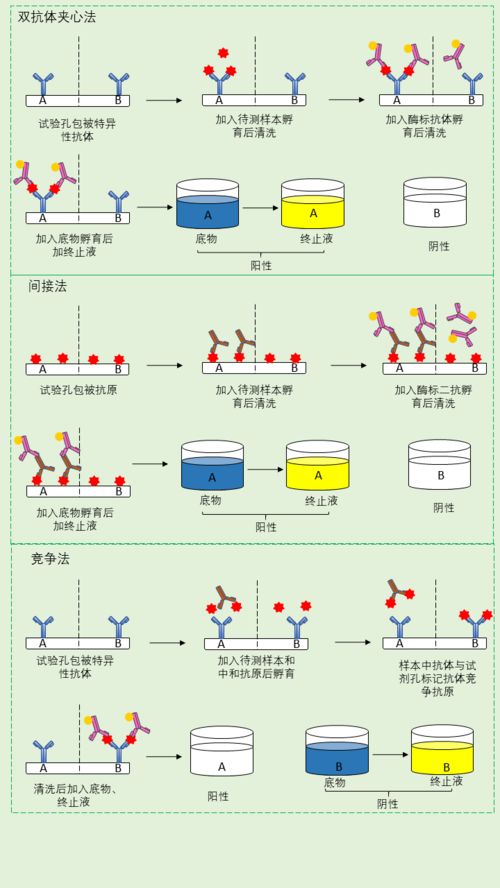 酶聯免疫吸附測定,什么是酶聯免疫吸附法？