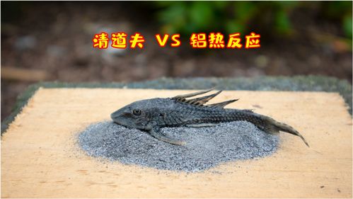 鋁熱劑是什么,鋁熱劑是什么