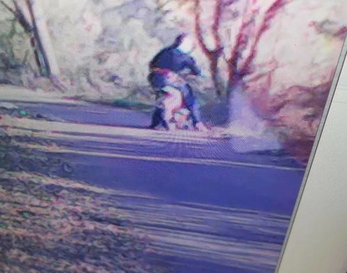 鍥而不舍的鍥是什么意思,鍥而不舍的鍥的意思解釋
