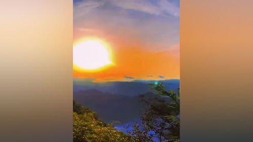 鍥而不舍的鍥是什么意思,鍥而不舍的鍥的意思解釋