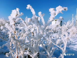 鬧海風,鬧海風是一種大風并伴有吹雪雪基等的災害性天氣其形成與亞洲高壓的移動...