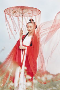 阡陌紅塵,阡陌紅塵的意思是什么？
