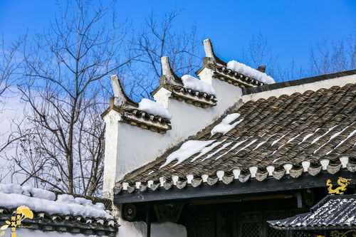 隴國公,隴國公是誰
