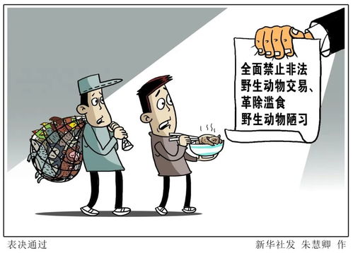 陋習,陋習是什么意思