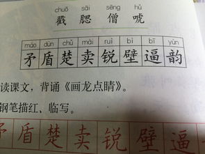 陪字組詞語,陪可以怎么組詞
