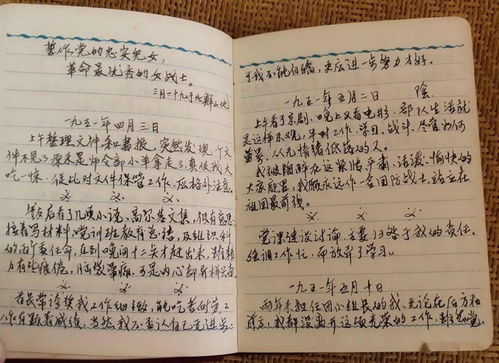 難忘的一天作文,難忘的一天作文