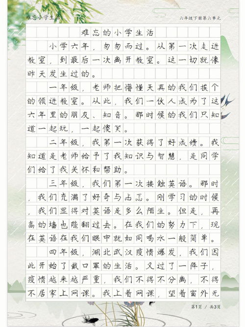 難忘的小學生活,難忘的小學生活作文600字