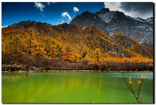 難忘的風景,難忘的風景話題作文