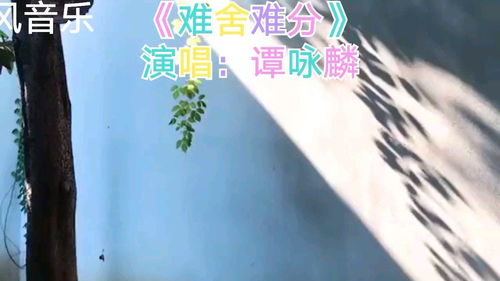 難舍難分,難舍難分是什么意思？