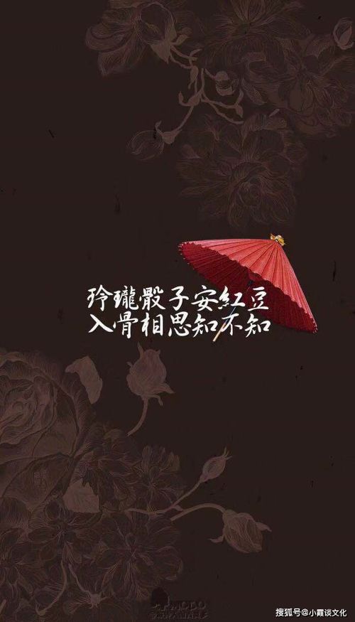 青冥浩蕩不見底下一句,青冥浩蕩不見底下一句是什么