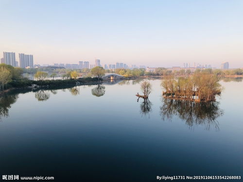 青云湖,新泰市青云湖面積