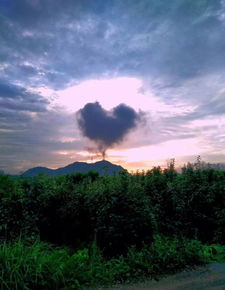 青山為證,小說為什么以青山為證為標題