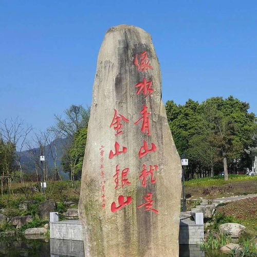 青山看我應如是,青山見我應如是什么意思？