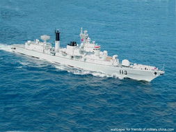 青島號導彈驅逐艦,113青島號導彈驅逐艦